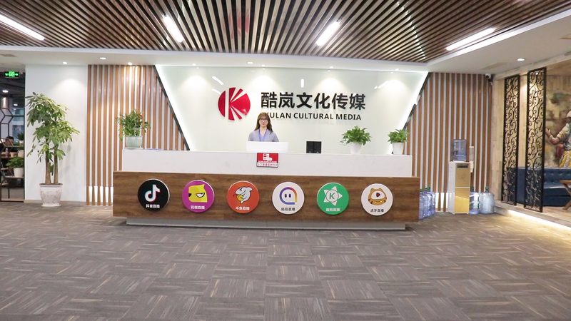VI设计代理加盟：揭秘厂家直招背后的优势与考量