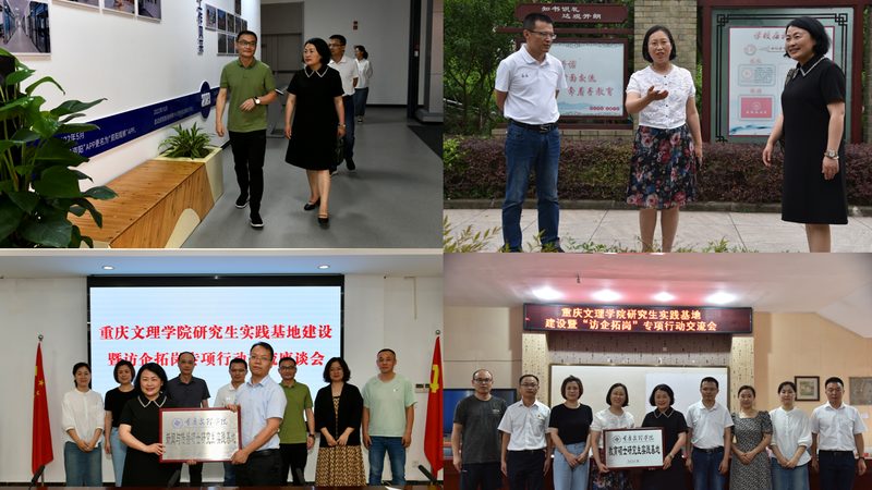 短视频代运营与自运营：团队配置差异解析